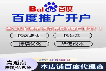 百度SEM优化成功案例：关键词优化策略解析